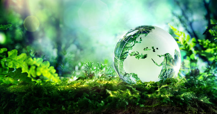 globe on moss in a forest - Europe - environment concept