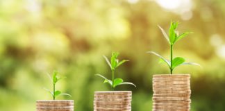 PANDAT : Les meilleures solutions de placement pour votre trésorerie