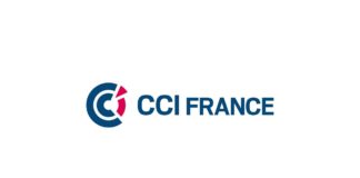 Les CCI françaises sont-elles réellement compétentes pour accompagner les entreprises ?