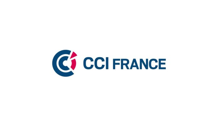 Les CCI françaises sont-elles réellement compétentes pour accompagner les entreprises ?