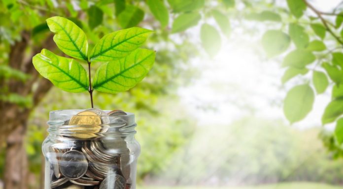 Europe Asset : Soyez bien accompagnés pour investir dans l’économie réelle