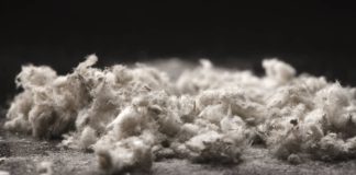 Le risque amiante en entreprise par AGENDA Diagnostics