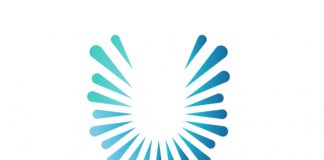 Union d’Experts : Le marché de l’expertise face au développement du digital