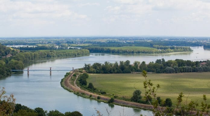 La CCI Tarn-et-Garonne se féminise
