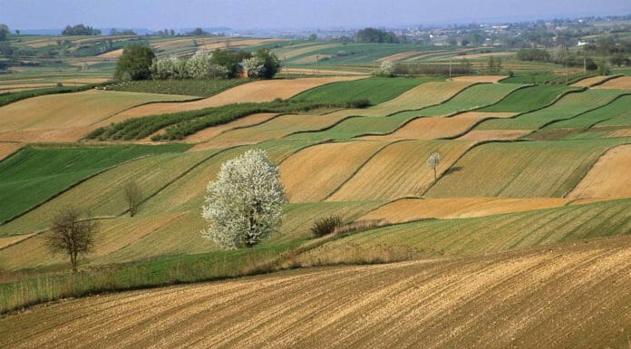 CybeleTech : Notre ambition, créer les jumeaux numériques dans l’agriculture et la sylviculture