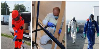 SHB : Les spécialistes de l’hygiène 3D (dératisation, désinsectisation, désinfection) et de l’hygiène de l’air