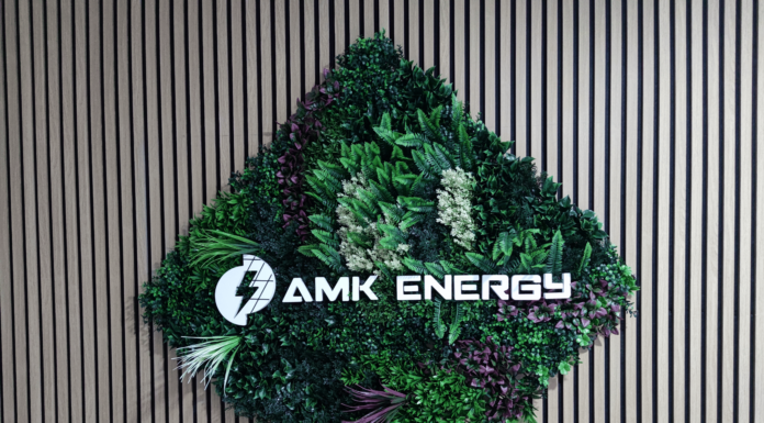 AMK Energy : Un accompagnement de pointe pour votre transition énergétique et vos projets photovoltaïques